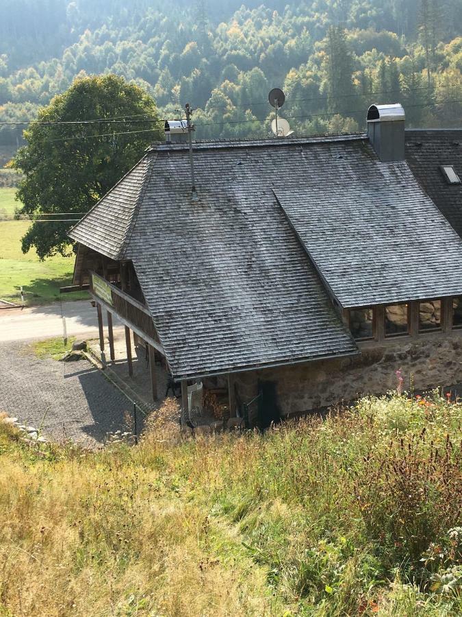 Romantisches Schwarzwaldhaus Aule Exterior photo